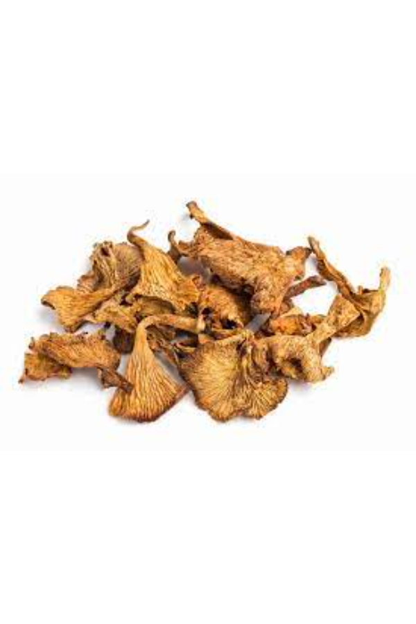 Chanterelle Dried Mushroom